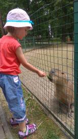 ZOO Spišská Nová Ves.
