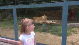 ZOO Košice