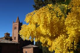 Abbazia di Monte Oliveto