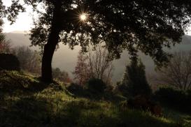 Monticchiello východ slunce