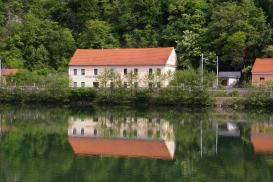 Sava