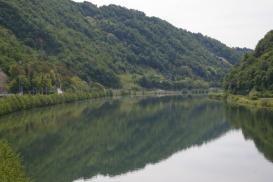 Sava